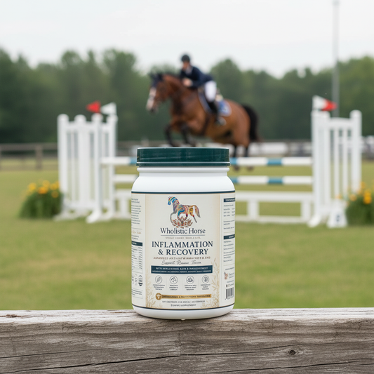 Liver & Antioxidant Support - Show Jumper